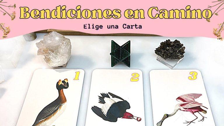 Tarot Universo: Opiniones reales y confiables sobre el mejor servicio de tarot