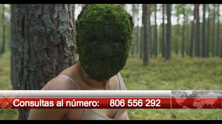Videntes 24 horas por teléfono – Consulta con expertos en videncia